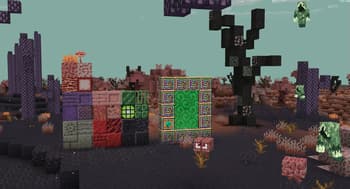 Sundries & Decor screenshot