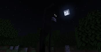 Midnight Madness screenshot
