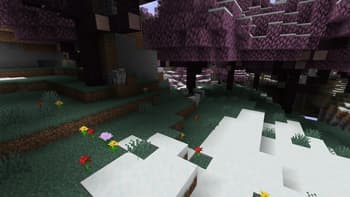 Rediscovered screenshot