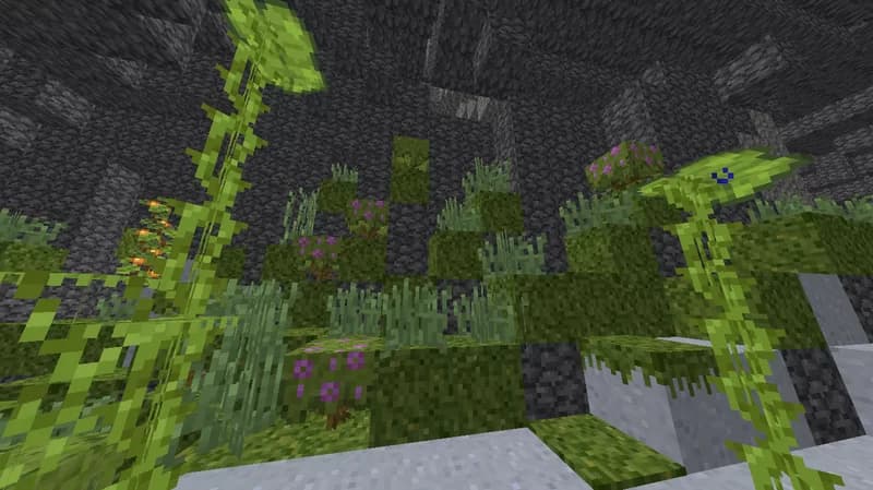 Nostalgia+ screenshot