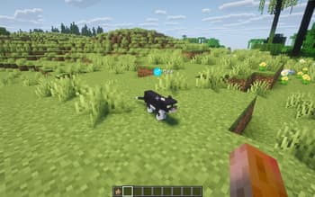 Animal Genders screenshot