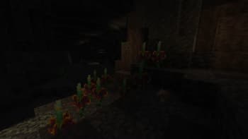 Dungeon's Delight screenshot