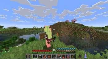 Just Some Mods screenshot