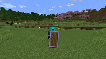 More Vanilla Shields! screenshot