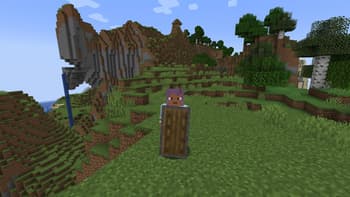 More Vanilla Shields! screenshot