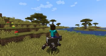 Animal Hunger screenshot