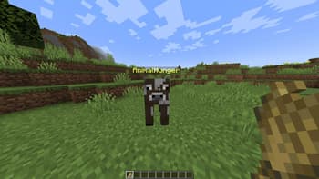 Animal Hunger screenshot