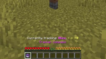 Player tracking compass screenshot