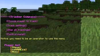 Player tracking compass screenshot