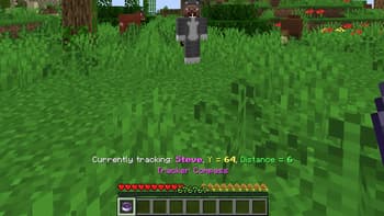 Player tracking compass screenshot