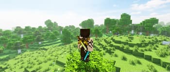 YDM's Weapon Master screenshot