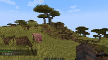 Rules Plugin screenshot