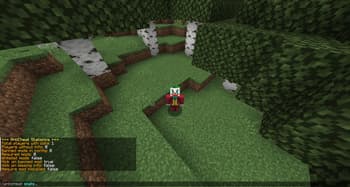 MTSAntiCheat screenshot