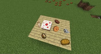 item placer screenshot