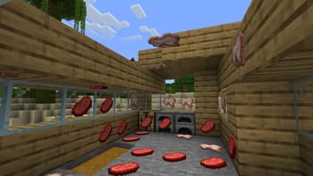 item placer screenshot