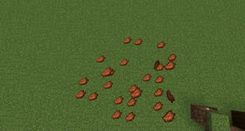 item placer screenshot