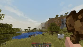 Motions & Stuff screenshot