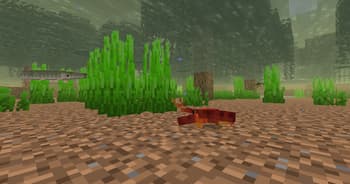 Ichthyology screenshot