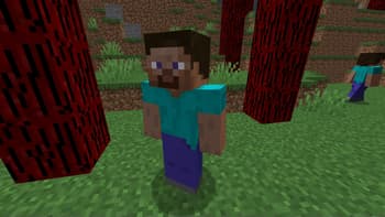 Herobrine Mode screenshot