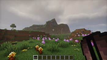 Netherite Elytra screenshot