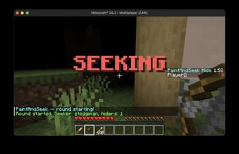 Paint And Seek screenshot