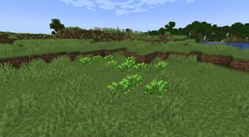 Slavic Delight screenshot