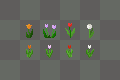 Vegetations & Veriations screenshot