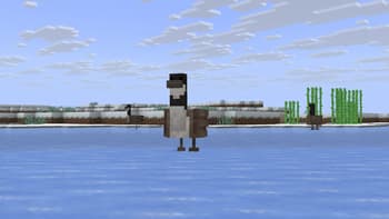 Silly Goose screenshot