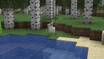 Silly Goose screenshot