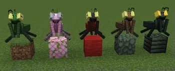 Infested: Swarms and Spiders screenshot