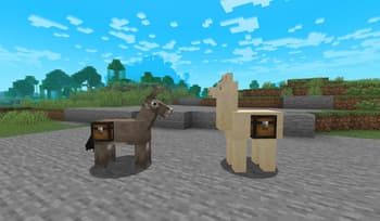 Better Chests screenshot