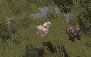 f-pack! screenshot