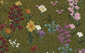 f-pack! screenshot