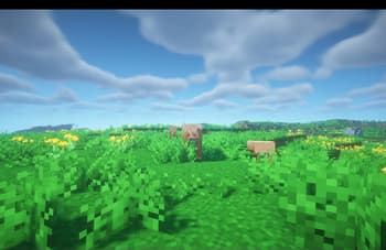 [Let's Do] Meadow screenshot