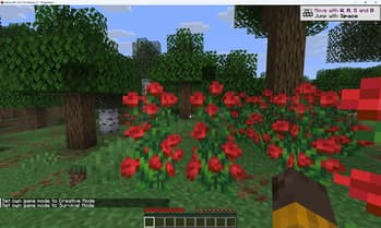 Hardcore Disabled Fix screenshot