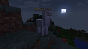 Entity Separator screenshot