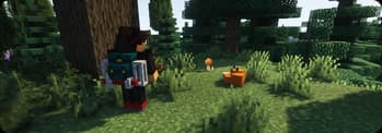 Traveler's Backpack screenshot