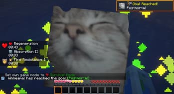 Cat Totem screenshot