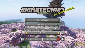 AnimateCraft: Lankeren screenshot