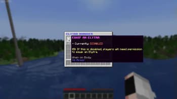 ElytraManager screenshot