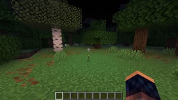 Shulkercraft's - Essentially Enhanced screenshot