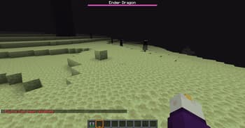 AElytra screenshot