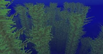 Montana's Bushier Kelp screenshot
