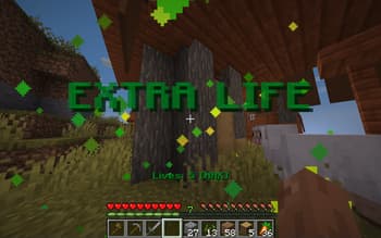 (Ultra) Hardcore Life Sharing screenshot