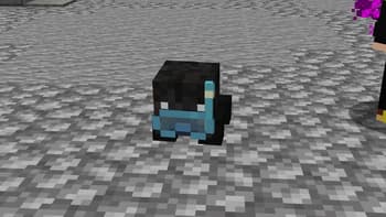 Forceskin Lib screenshot