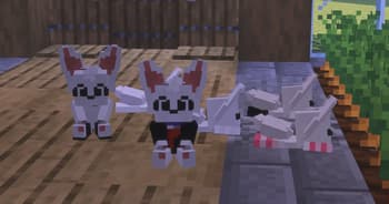 SillyCat cat screenshot