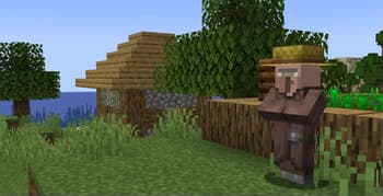 Villager Variety screenshot