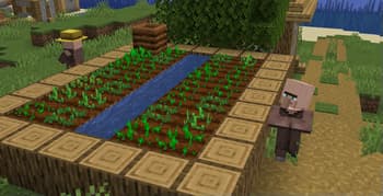 Villager Variety screenshot