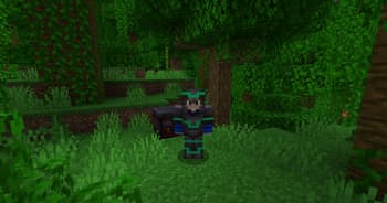Rainbow Trims screenshot