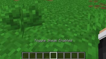 KeepSneak screenshot